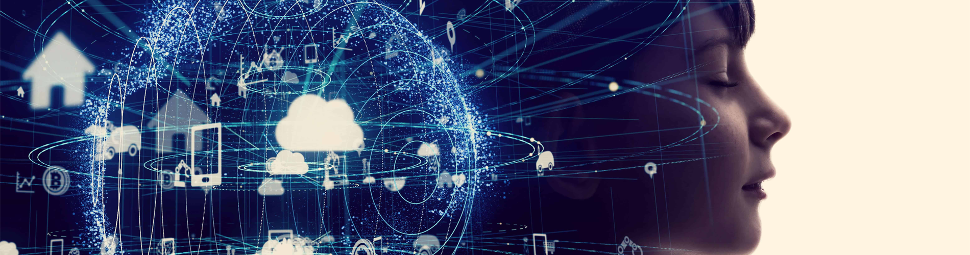 Özel Yazılım & Otomasyon